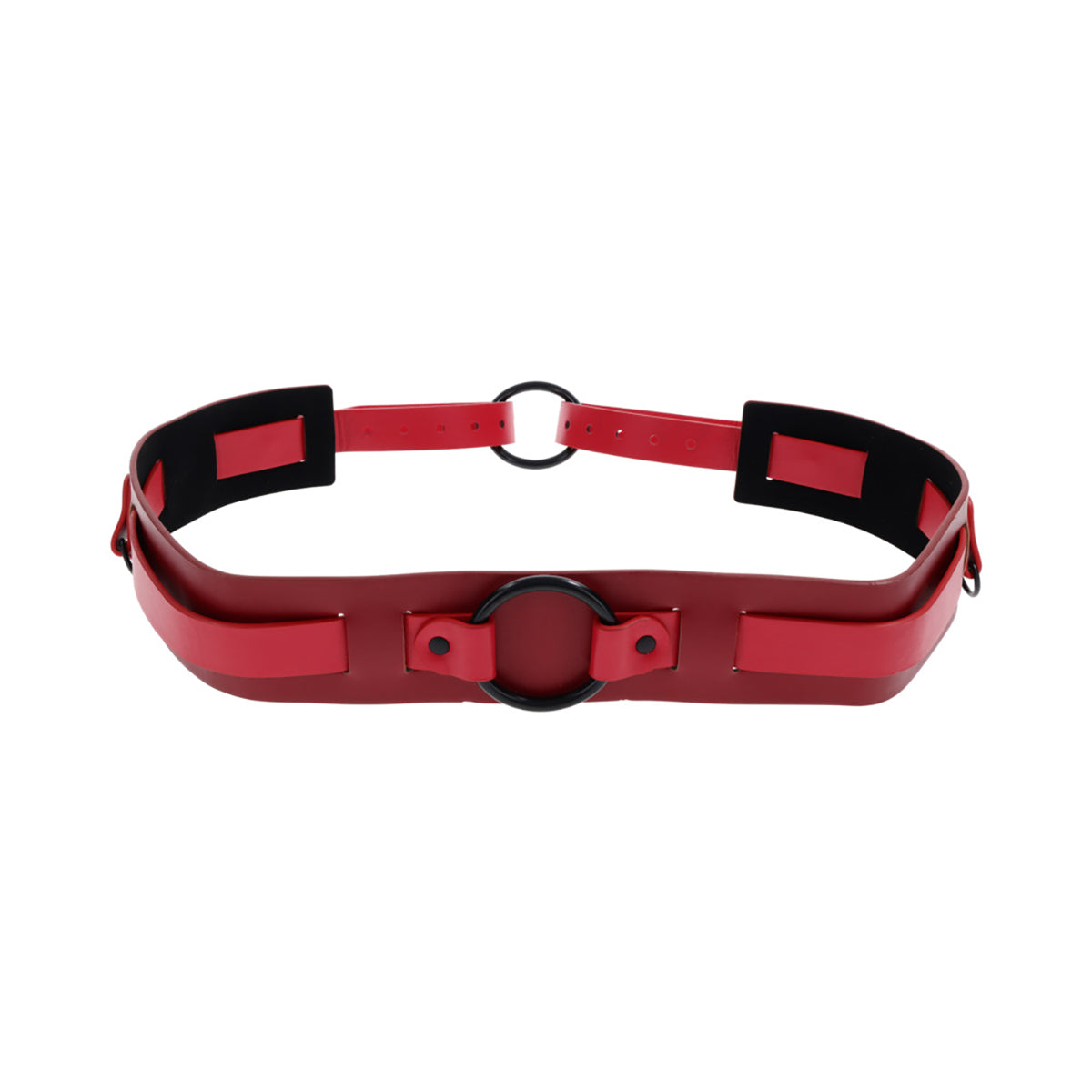 SS S&M Ex's & Oh's Bound and Belted