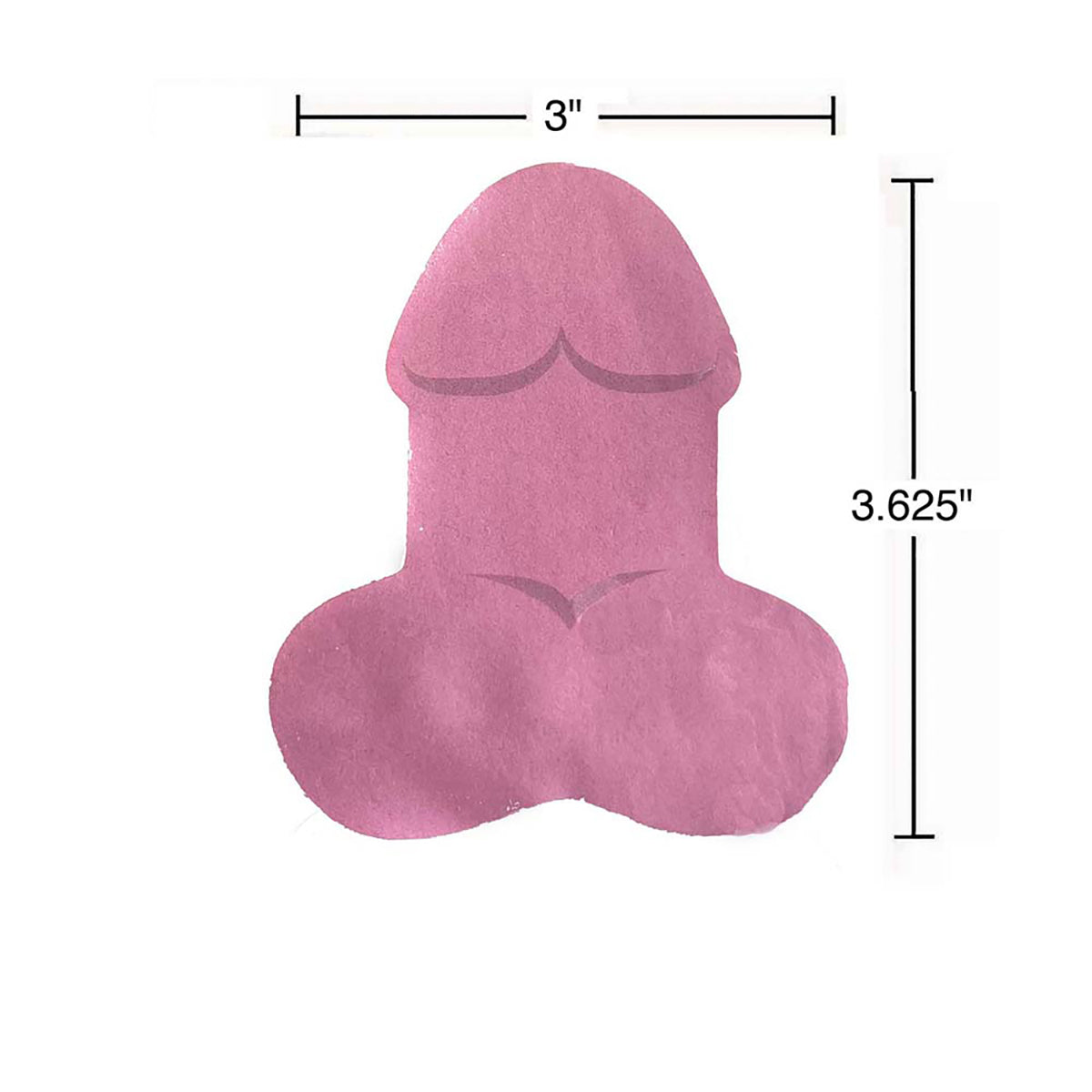 Super Fun Penis Sticky Notes
