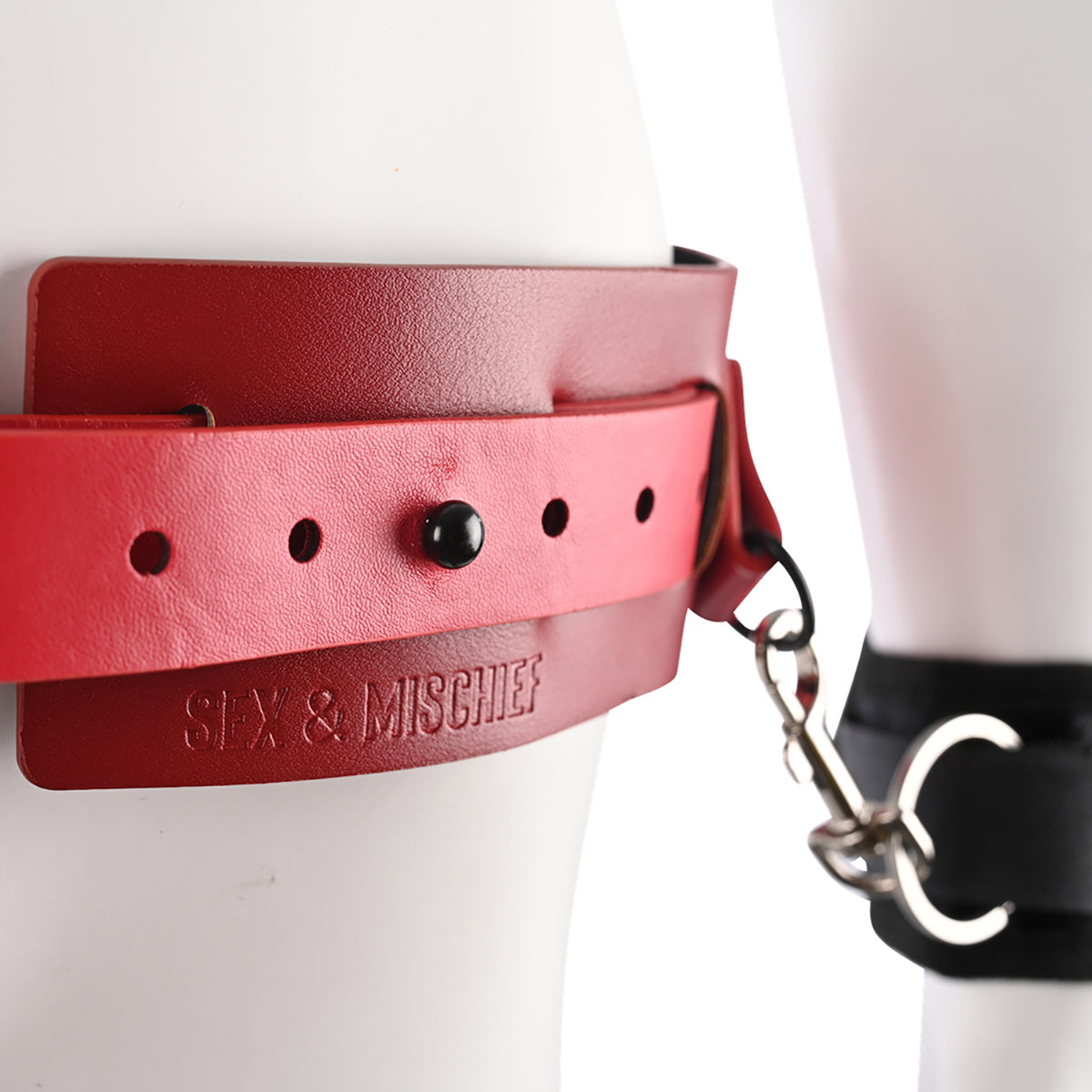 SS S&M Ex's & Oh's Bound and Belted