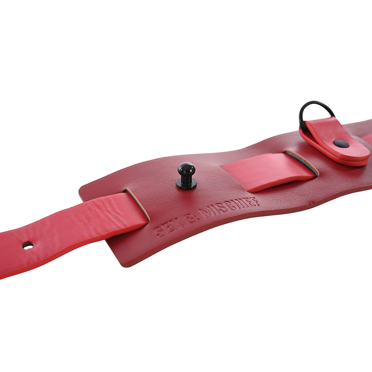 SS S&M Ex's & Oh's Bound and Belted