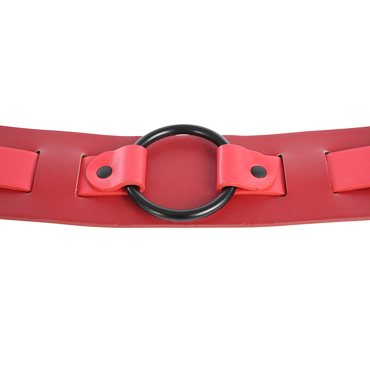 SS S&M Ex's & Oh's Bound and Belted