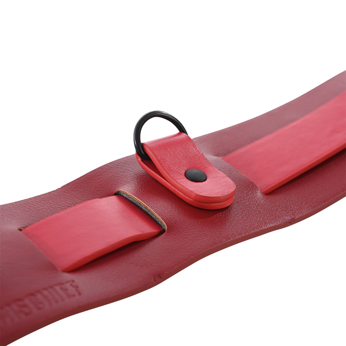 SS S&M Ex's & Oh's Bound and Belted